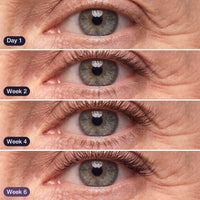 Lash Serum