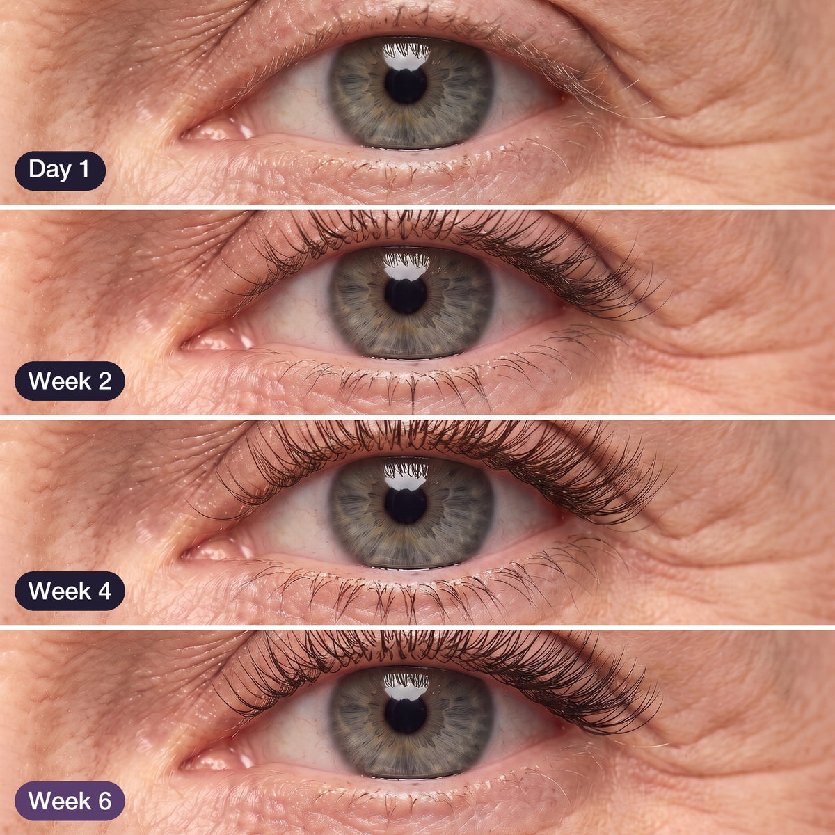 Lash Serum